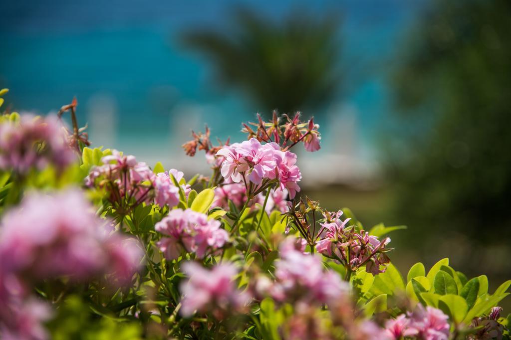 Krouzeri Beach Apartments Niszáki Szoba fotó
