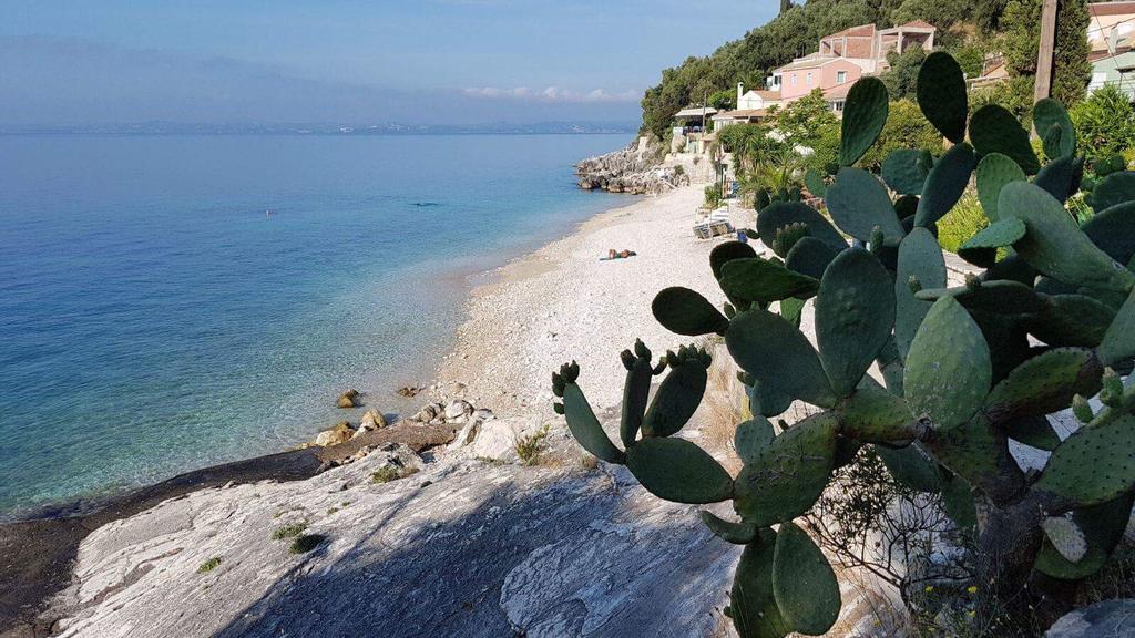 Krouzeri Beach Apartments Niszáki Kültér fotó